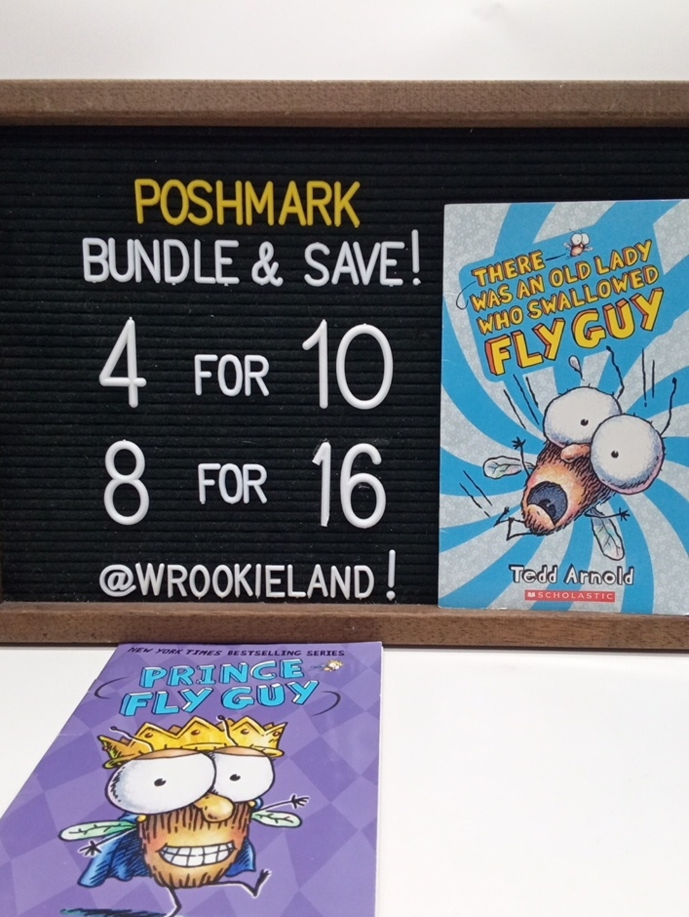 Fly Guy Level Reader Bundle Book#5